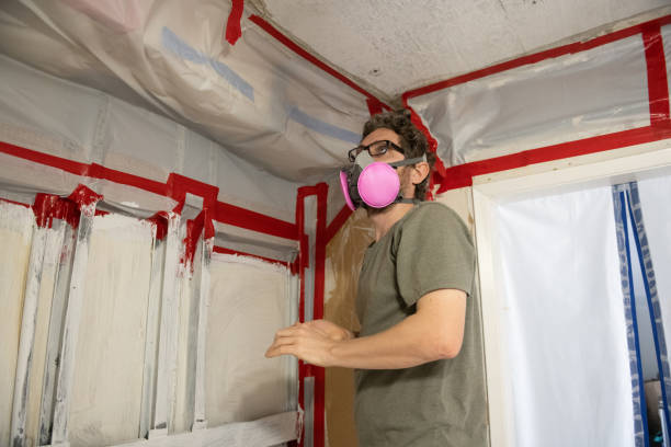 Best Black Mold Removal  in Salem Lakes, WI