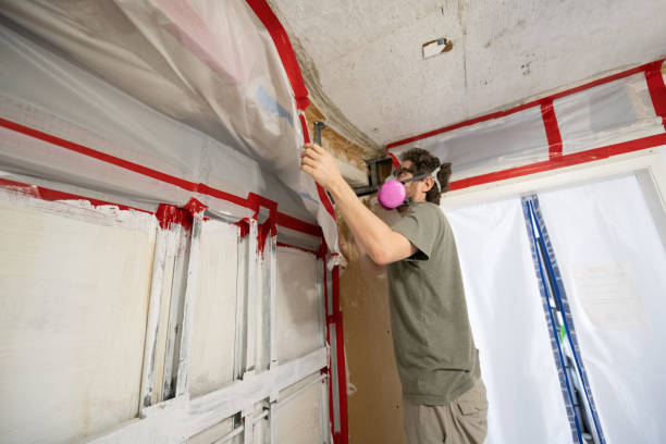 Best Residential Mold Inspection & Testing  in Salem Lakes, WI