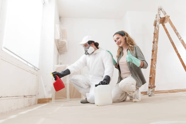 Best Basement Mold Removal  in Salem Lakes, WI